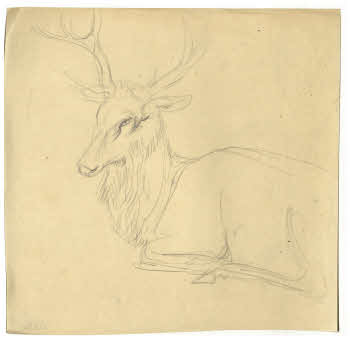 Visualizza l'immagine "FD D 136"